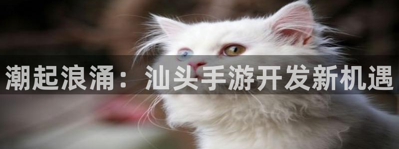 28大神官网app：潮起浪涌：汕头手游开发新机遇